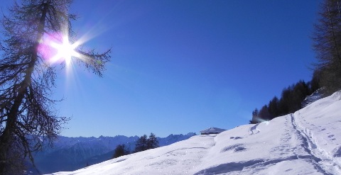 Vedute della Val di Pejo