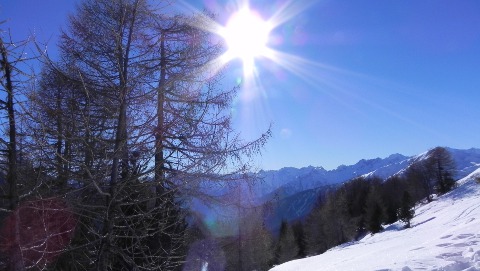 Vedute della Val di Pejo